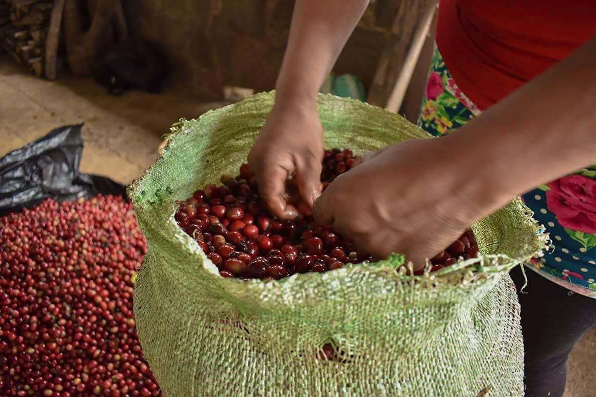 El Salvador: Sabores, Leyendas y Paisajes (5 Días) - Image 4