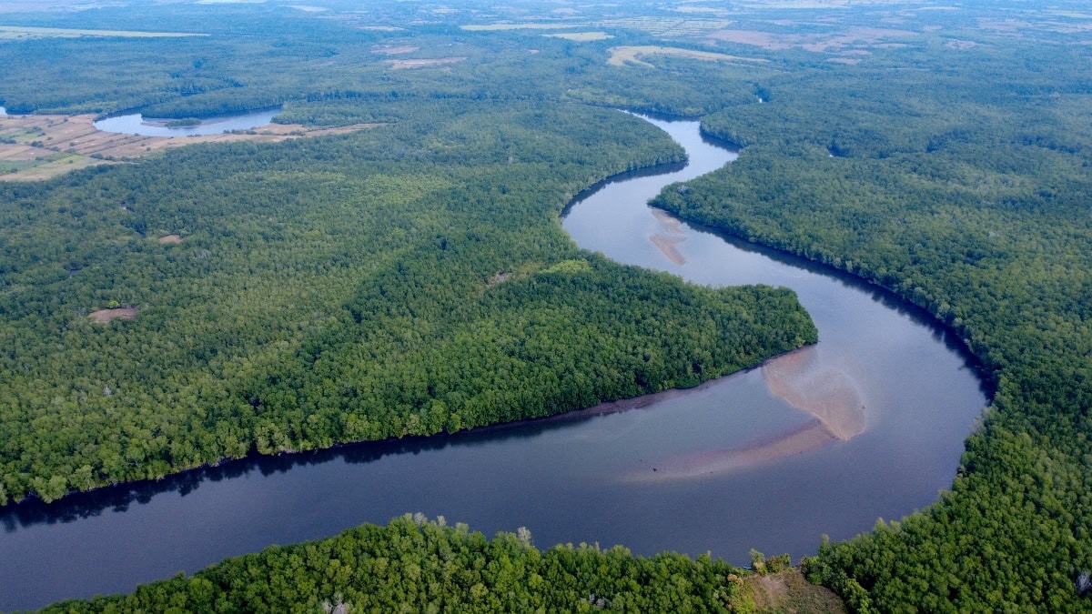 Costa del Sol y estero de Jaltepeque - imagen 3