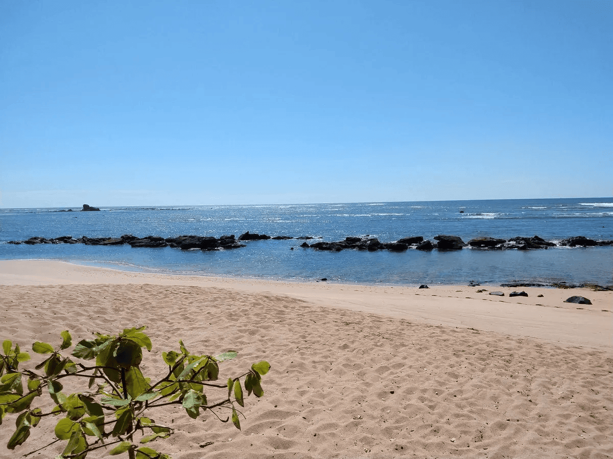 Playa Los Cóbanos y Salinitas - imagen 2