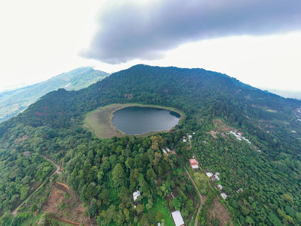 Cerro Verde & Ruta del Café - imagen 4