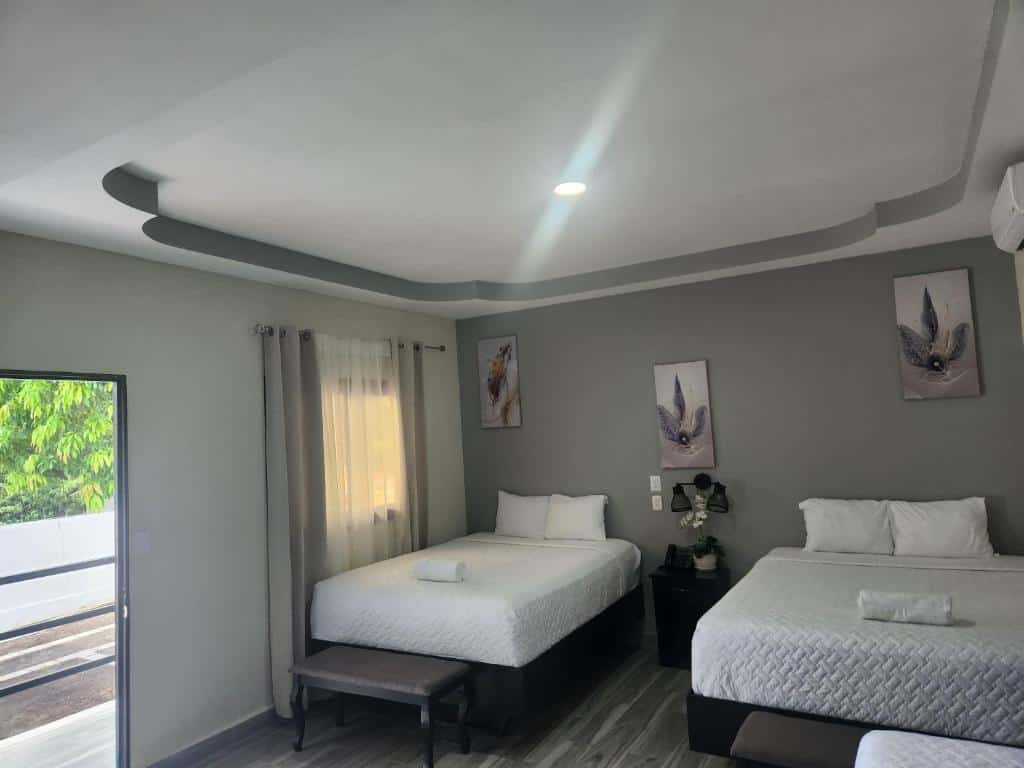 Mi Tierra - imagen 4