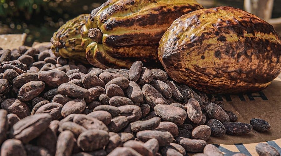 El Salvador Cultura Viva: Mercados, Cacao y Arqueología (5 Días) - Image 2